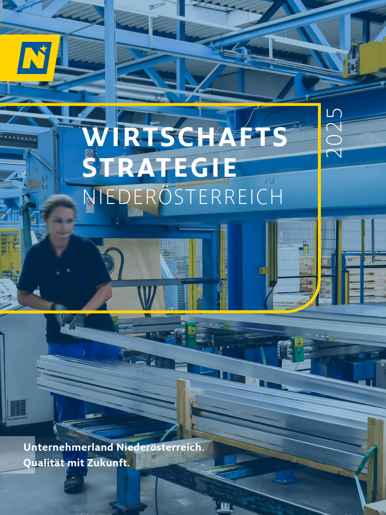 Cover Wirtschaftsstrategie