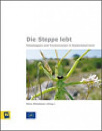 Die Steppe lebt