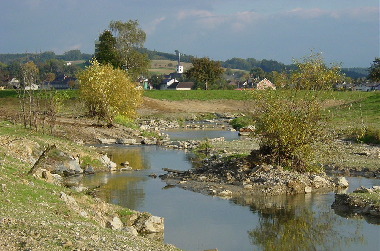 Revitalisierter Melkfluss