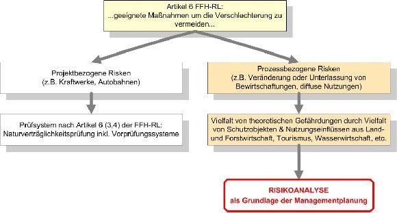 Prozessbeschreibung der Risikoanalyse bei Natura 2000 Projekten